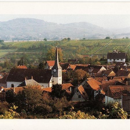 Вилла Les Hirondelles Wangen Экстерьер фото