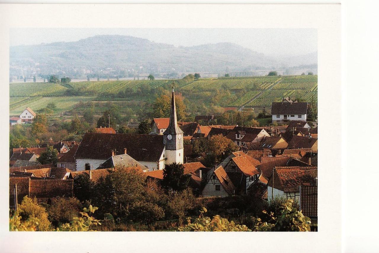 Вилла Les Hirondelles Wangen Экстерьер фото